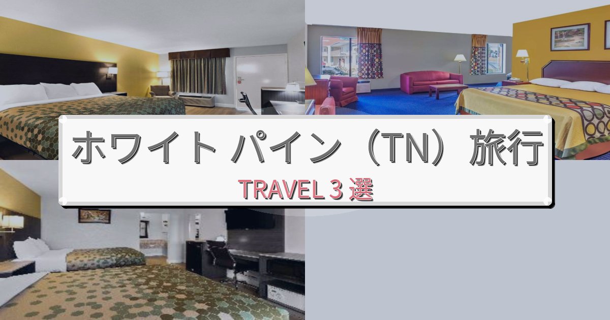 洗練されたホワイト パイン(TN)での極上ステイBEST3選 洗練されたホワイト パイン(TN)での極上ステイBEST3選