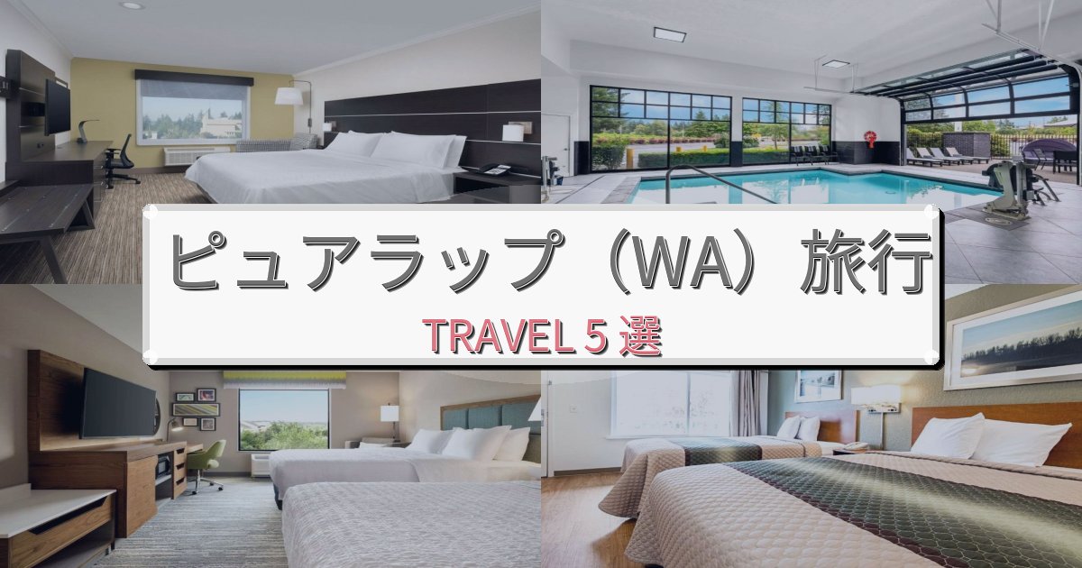 極上のピュアラップ（WA）体験での快適滞在ガイドBEST5選